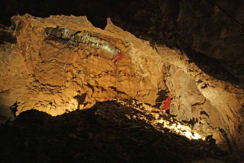 Nieuw-Zeeland 2011 - 0554